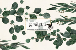 Download Eucalyptus Clipart - Eucalyptus clipart Collection