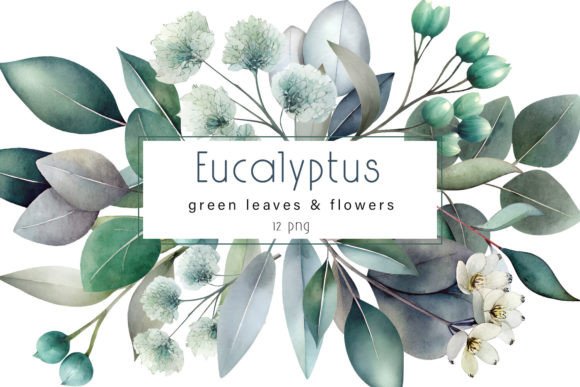 Download Eucalyptus Clipart. Watercolor Greenery - Premium Resources