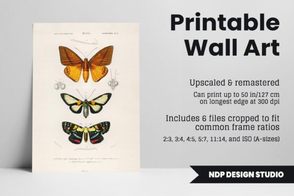 Download Vintage Moth Illustration Printable Art - Vintage Collection