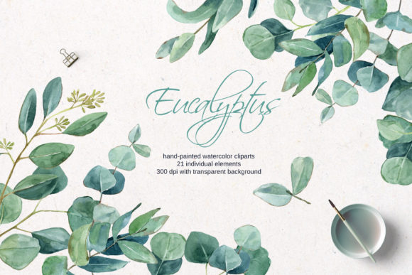 Download Watercolor Eucalyptus Clipart - Eucalyptus clipart Collection
