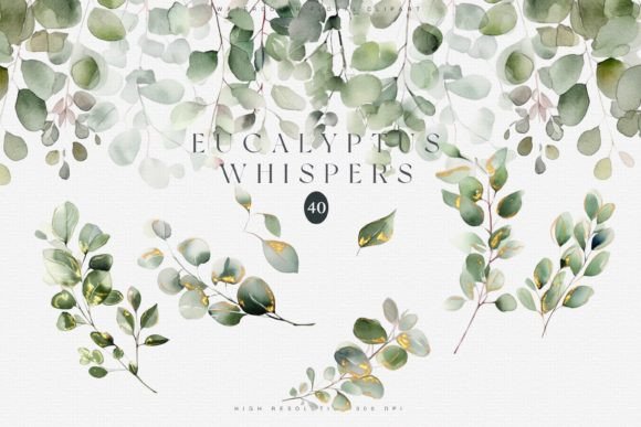Download Watercolor Eucalyptus Clipart Set - Eucalyptus clipart Collection