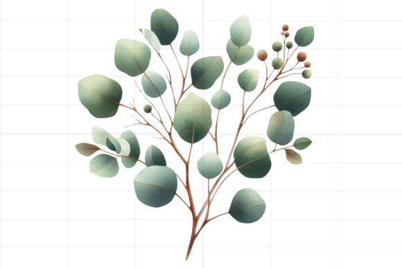 Download Eucalyptus Clipart. Watercolor Greenery - Eucalyptus clipart Collection